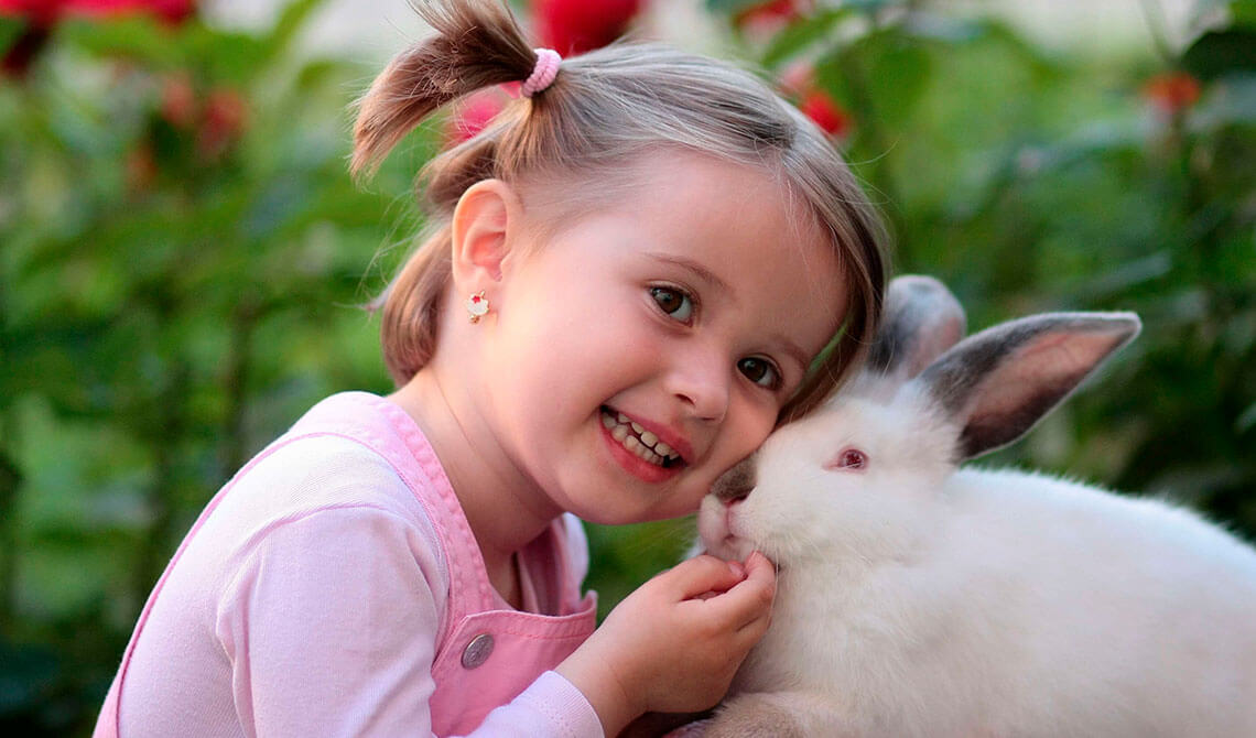 TÜRKÇE DİL ETKİNLİĞİ